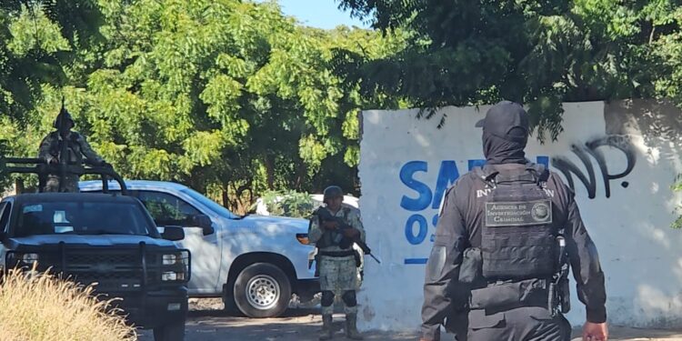 Asegura FGR otro campestre en Bellavista, Culiacancito