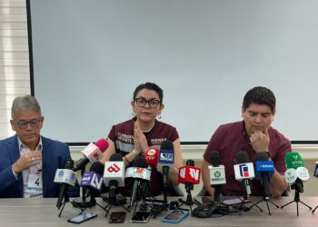 Consejeros son “azorrillados” para no participar en la renovación de la dirigencia de Morena: Diputados con licencia