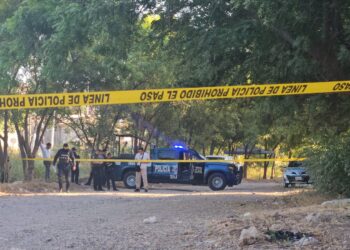 Hallan a un mujer asesinada a balazos en un lote baldío de la colonia Progreso