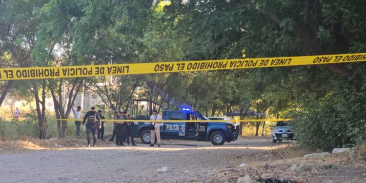 Hallan a un mujer asesinada a balazos en un lote baldío de la colonia Progreso