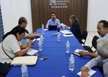 Wendy Barajas se perfila como la ganadora de la dirigencia estatal del PAN