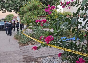 Dos jóvenes fueron bajados de un auto y ejecutados a balazos en la colonia Emiliano Zapata