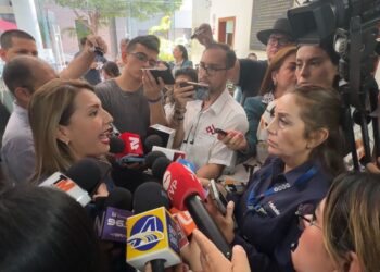 Los priistas iban a votar a favor de las cuentas públicas: Roxana Rubio