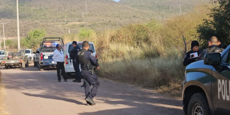 Localizan osamenta humada cerca del campestres Las Nanchis