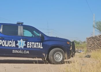Hallan a tres hombres asesinados y envueltos en plástico negro
