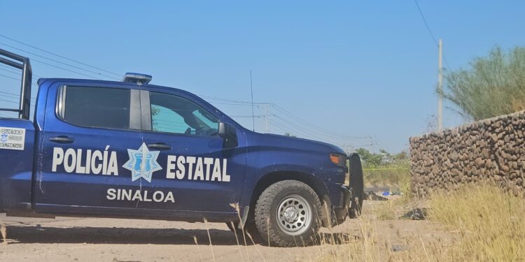 Hallan a tres hombres asesinados y envueltos en plástico negro