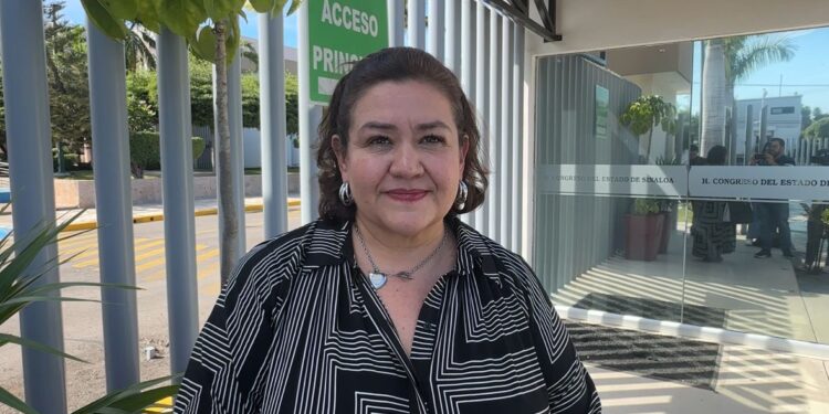 Levantón y balacera afuera de restaurante del Malecón de los Pobres viene a colapsar a la industria: Canirac