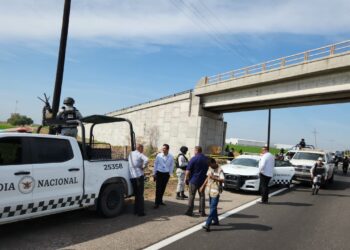 Hallan tres cuerpos mutilados a un costado de la autopista Benito Juárez