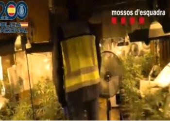 Detienen a 14 integrantes del Cártel de Sinaloa por asesinar a un hombre en Cataluña, España