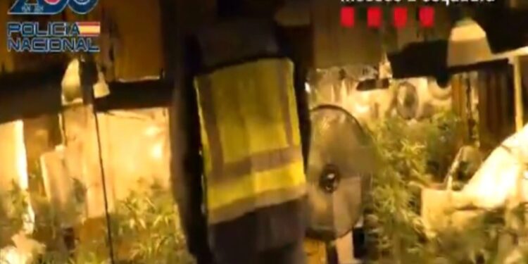 Detienen a 14 integrantes del Cártel de Sinaloa por asesinar a un hombre en Cataluña, España