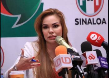 Son salidas fáciles decir que son bot, que es política carroñera: Paola Gárate respondiendo a Merary Villegas