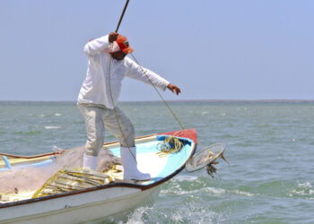 La pesca contribuye en la generación de empleos para mujeres y hombres y una mejor alimentación de las y los mexicanos