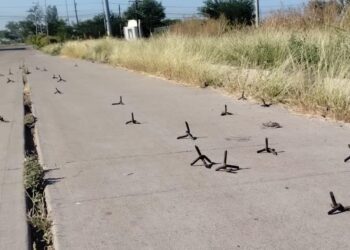 PVEM propone sancionar con cárcel a quienes fabriquen y arrojen ponchallantas en Sinaloa