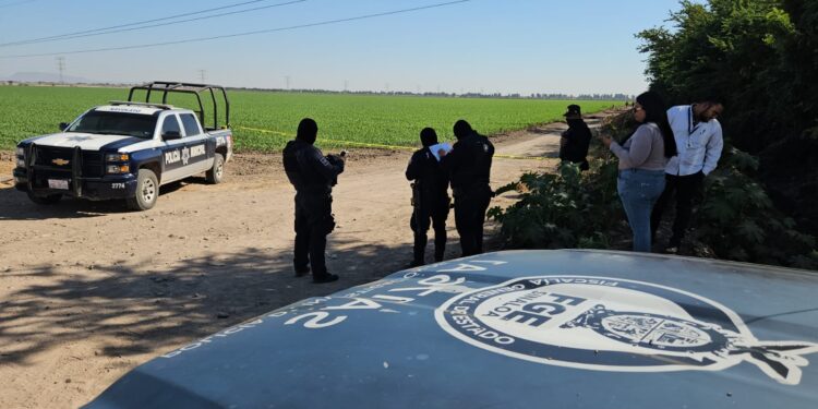 Localizan a un hombre asesinado a golpes en Navolato