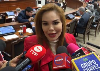 “Se tardó en venir a Culiacán y ojalá que no sea solamente rollo”: Diputada del PRI a Harfuch