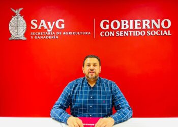 Anuncia Bello Esquivel ampliación de fecha a productores de trigo para registrar y solventar observaciones