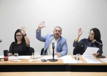 Comisión de Ecología del Congreso del Estado aprueba modificaciones a los plazos para el uso de plásticos en Sinaloa