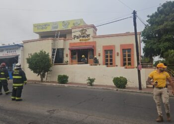 Se incendió El Palomar de Los Pobres en la colonia Morelos