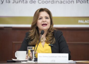 Comparece auditora ante Poder Legislativo