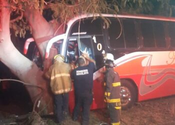 Chófer y pasajero resultan heridos al chocar camión contra un Álamo