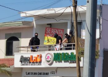 Fuerzas federales catean inmueble en Terranova; hay un detenido