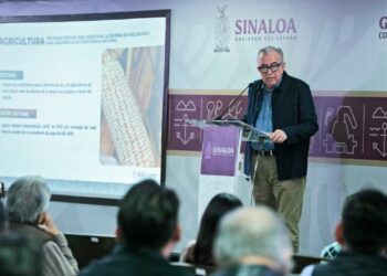 Se pagará a los productores de maíz antes de que finalice el año: Rocha