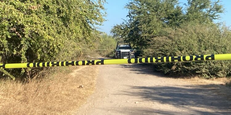 Hallan estos óseos de una persona en Costa Rica