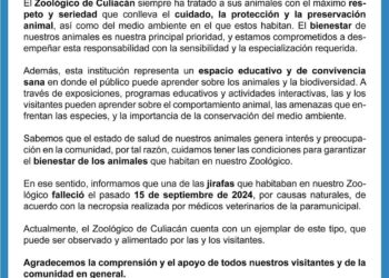 ¡Triste noticia! La jirafa no anda en “El Guayabo”; murió desde septiembre