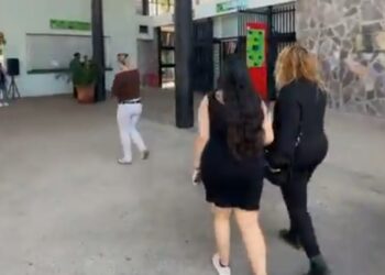 “De no creerse” dicen culichis ante desaparición de jirafa en el Zoológico de Culiacán