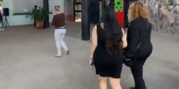 “De no creerse” dicen culichis ante desaparición de jirafa en el Zoológico de Culiacán