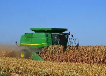 Se amplía el registro ante Segalmex para el pago de los 750 pesos del maíz: anuncia Ismael Bello Esquivel