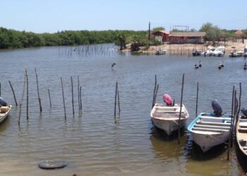 Denuncian enfrentamientos entre grupos rivales en Las Puentes, Villa Juárez