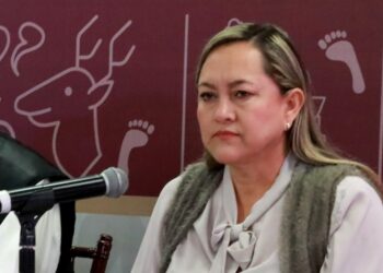 Tres vehículos recuperados y tres personas remitidas a barandilla son algunos resultados en operativos coordinados de seguridad: SSP