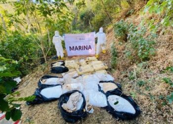 Aseguran y neutralizan un laboratorio clandestino en el poblado Los Cedros