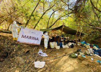 Aseguran y neutralizan un laboratorio clandestino en el poblado Los Cedros