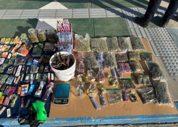 Aseguran drogas y ponchallantas en “La Palma”,  Navolato