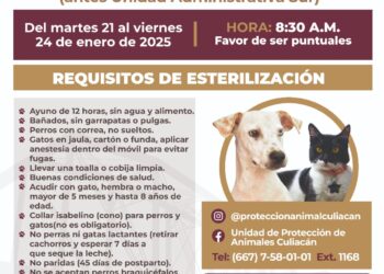 ¡Atención, alisten a sus mascotas! Campaña de Esterilización llegará a la colonia El Vallado