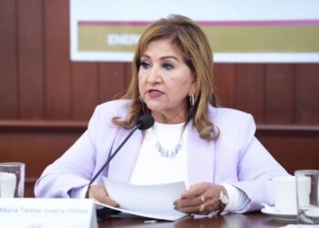 Altos niveles de violencia son producto de hacer y no hacer en últimas dos décadas: Tere Guerra