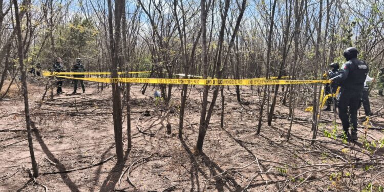 Hallan un cuerpo sin vida al sur del Campo El Diez