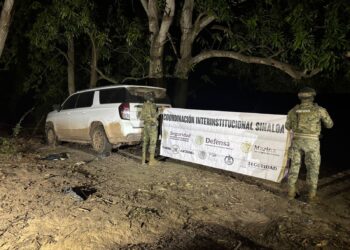 Grupo Interinstitucional asegura vehículos blindados, municiones y destruye plantío de marihuana