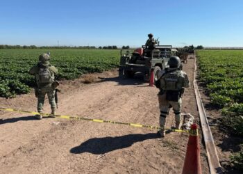 Ocho homicidios y 12 robos de vehículos se registraron ayer en Sinaloa: FGE