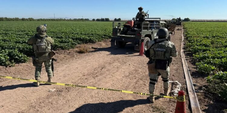 Ocho homicidios y 12 robos de vehículos se registraron ayer en Sinaloa: FGE