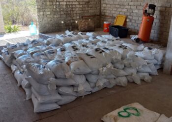 Asegura FGR 5 toneladas de sustancias químicas en Higueras de Abuya
