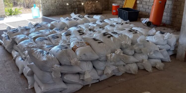 Asegura FGR 5 toneladas de sustancias químicas en Higueras de Abuya