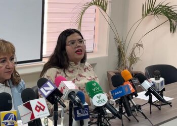 En mesas de diálogo con USA se deben establecer estrategias para frenar entrada de armas a México: Sthefany Rea