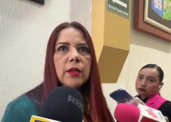 Seis municipios, el poder Ejecutivo y Judicial, no cuentan con un comité ciudadano de obra pública: Rosa Elvira Jacobo