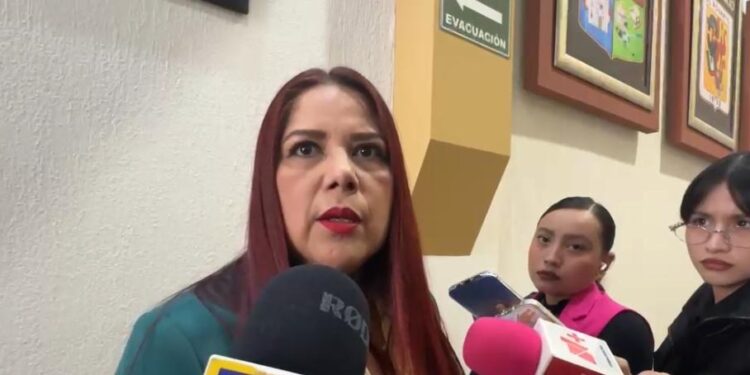 Seis municipios, el poder Ejecutivo y Judicial, no cuentan con un comité ciudadano de obra pública: Rosa Elvira Jacobo