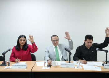 Determina Comisión que 10 nuevas iniciativas continúen su proceso legislativo