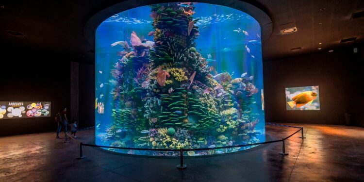 ¡Histórico! El Gran Acuario Mazatlán a un paso de ganar el Mies Crown Hall Americas Prize, el “Nobel de la Arquitectura en América”