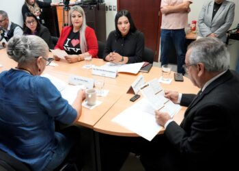 Aprueba Comisión de Hacienda paquete de 43 pensiones